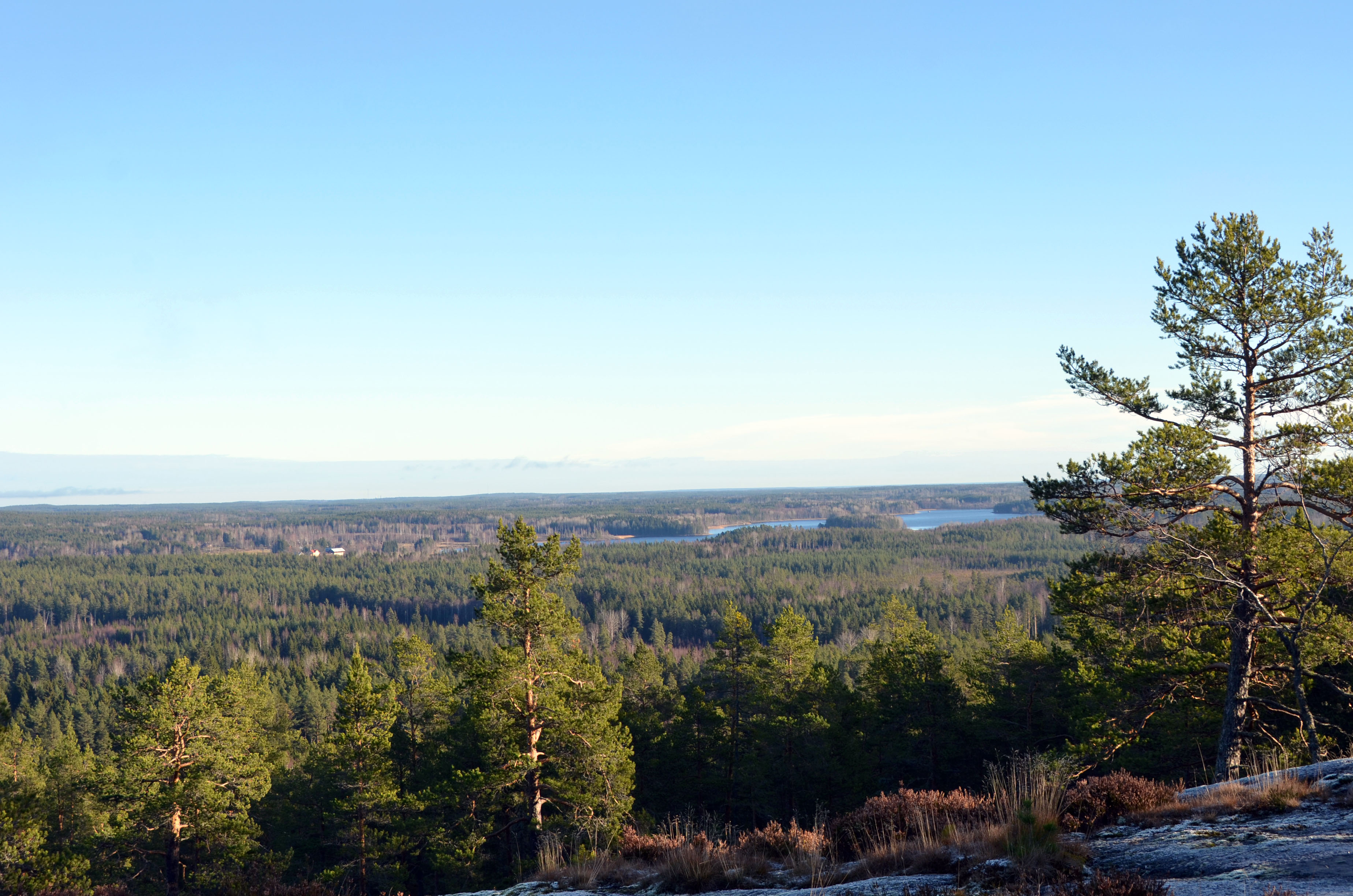 sagberg vy tönnånger