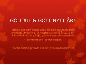 GOD JUL & GOTT NYTT ÅR2!