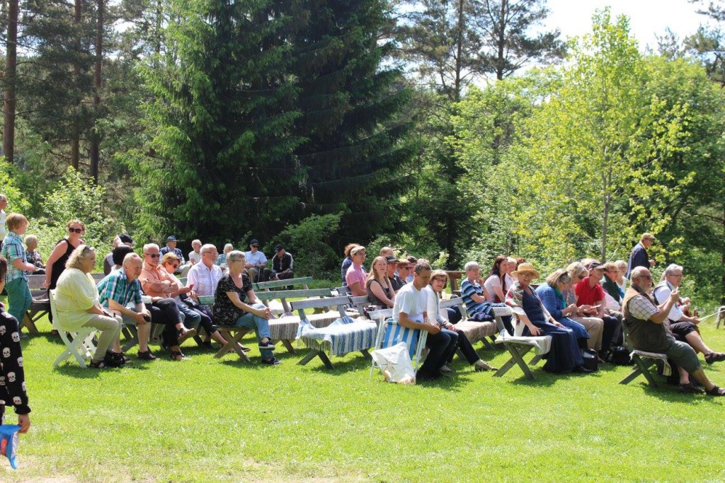 nationaldag 3