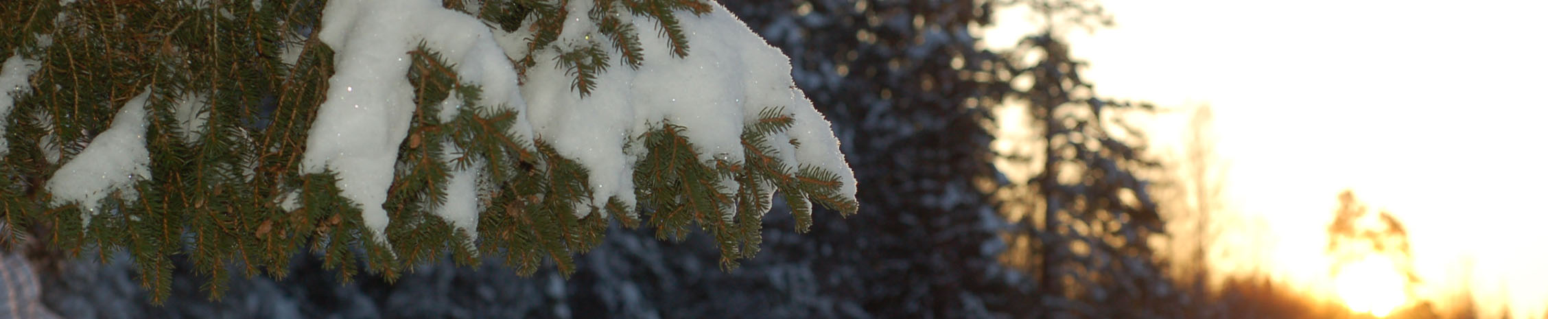 Snö!