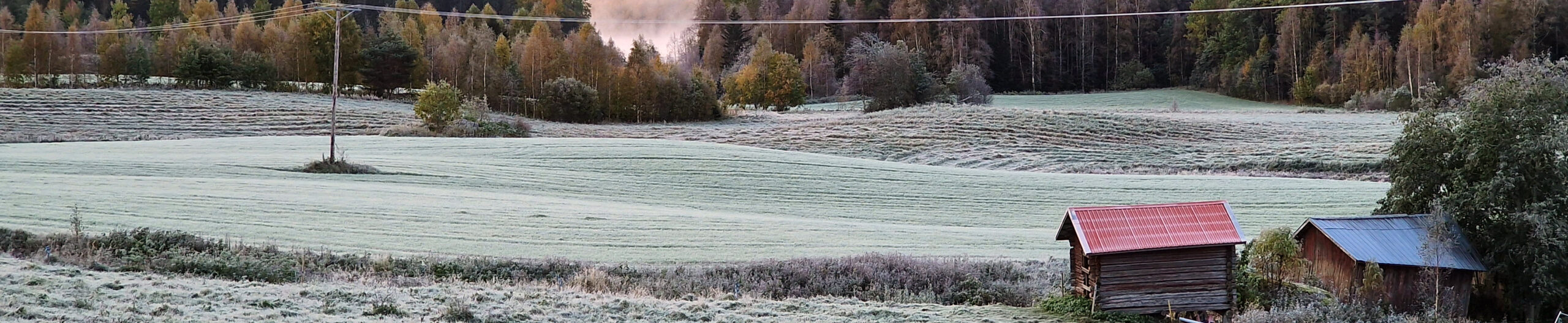 FROST!
